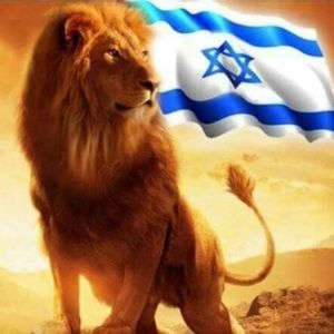 Meet your Posher, Alphonso